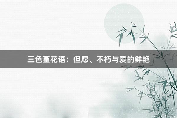 三色堇花语：但愿、不朽与爱的鲜艳